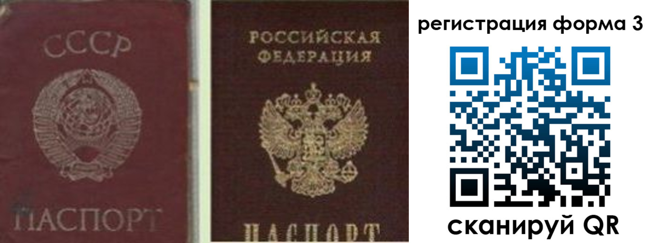 прописка для школы в Дальнегорске